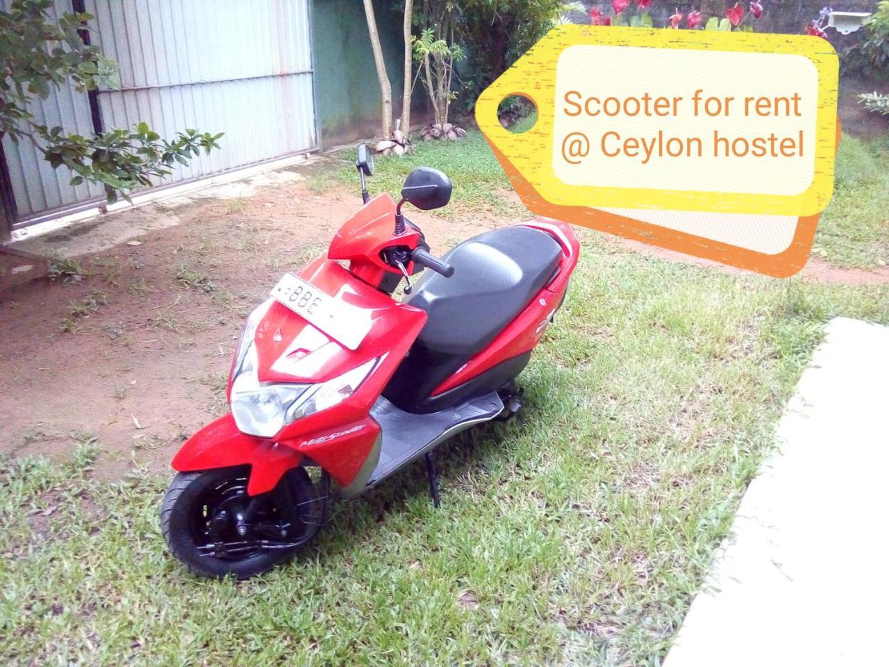 Ceylon Hostel-Galle Unawatuna Dış mekan fotoğraf