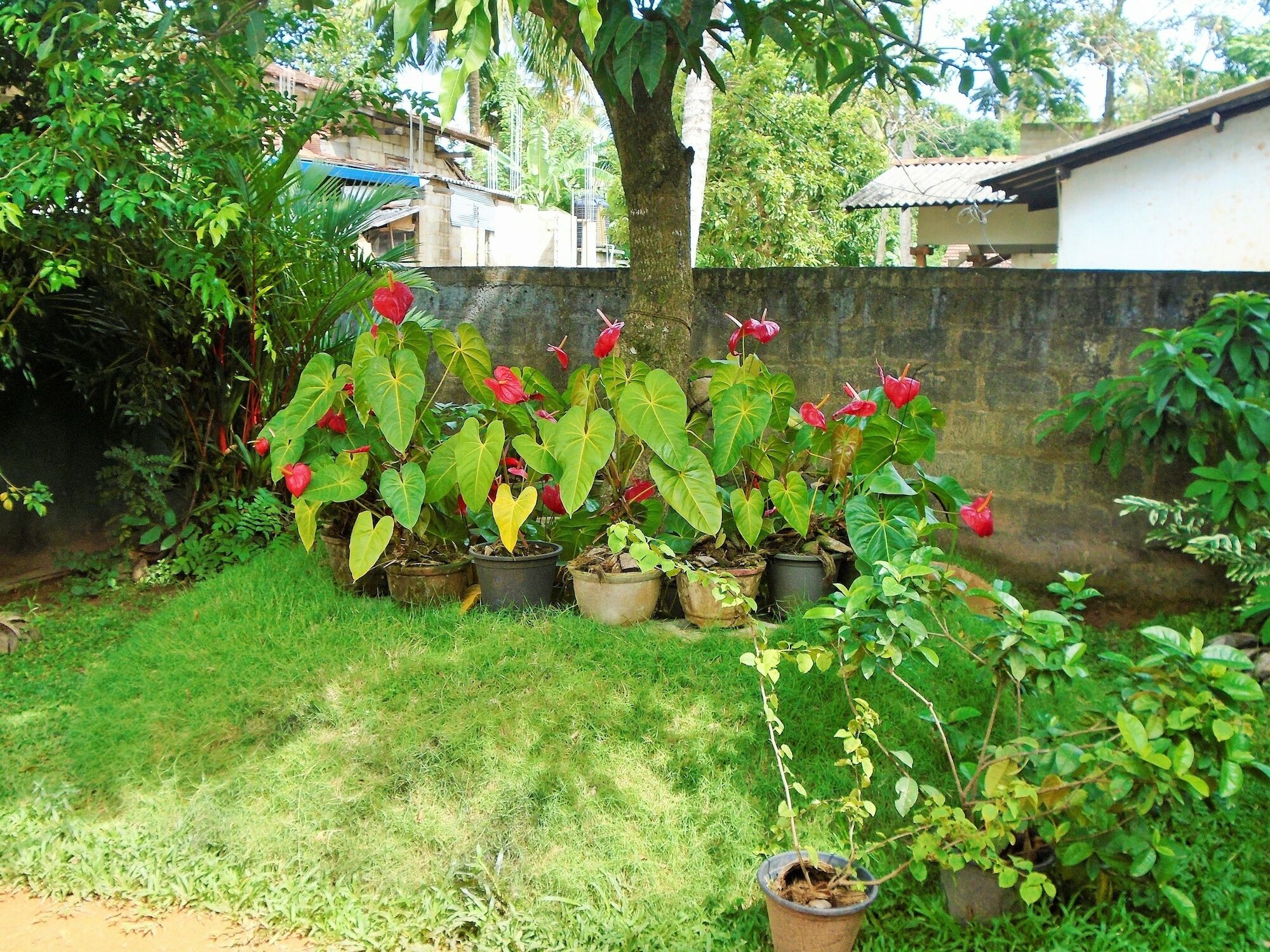 Ceylon Hostel-Galle Unawatuna Dış mekan fotoğraf